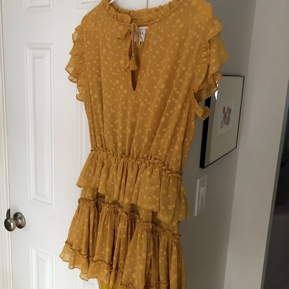 New: MISA x REVOLVE Lillian Dress. Chiffon. Swiss Dot. Size Small - Picture 6 of 16